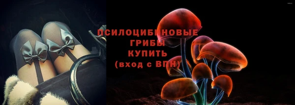 герыч Пестово
